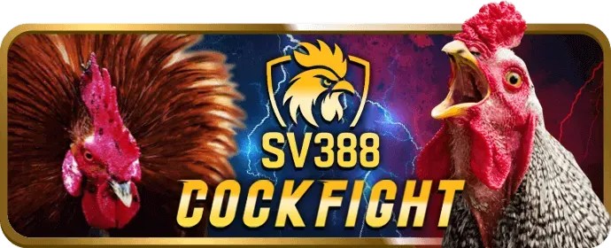 Người chơi đang trải nghiệm các tựa game hấp dẫn trên điện thoại di động tại ibet888